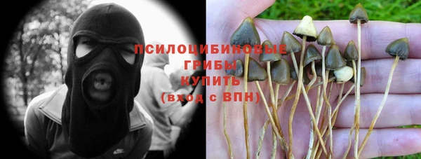 гашик Бородино