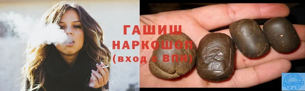 гашик Бородино