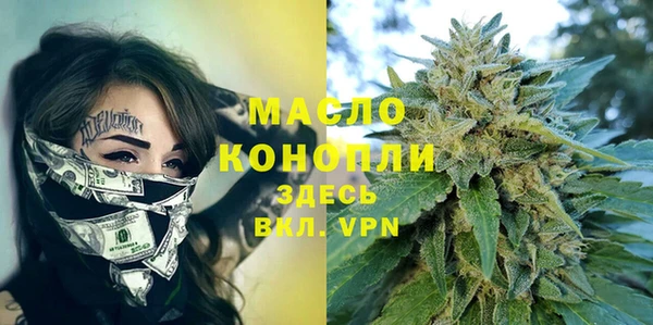 гашик Бородино
