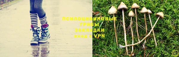 гашик Бородино